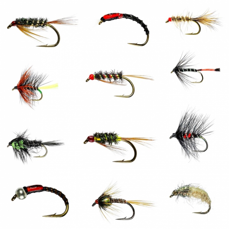 Caledonia Flies Barbed April Stillwater Nymph / Wet Collection #10-12 Fishing Fly Assortment